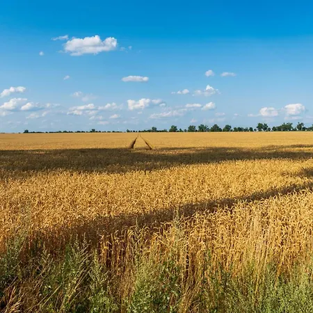 Work & Travel _ Ecostay _ * Сьрода-Велькопольска