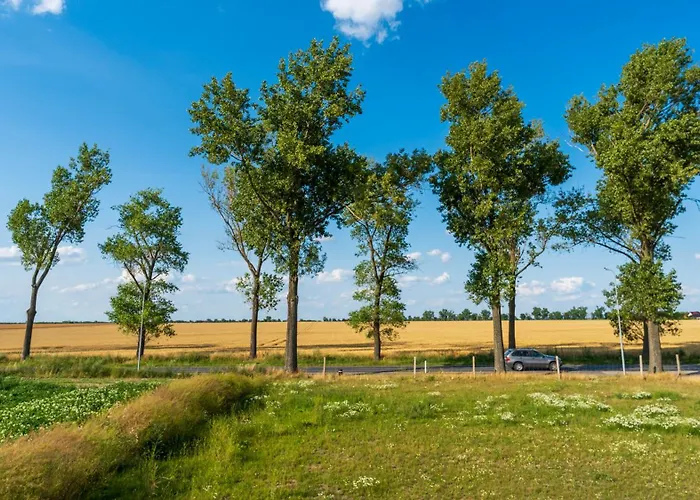 Apartment Ecostay Kasztanowa 18 - 3 Bedroom Business House With Parking Sroda Wielkopolska