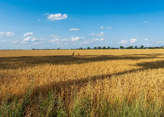 Ecostay Kasztanowa 18 - 3 Bedroom Business House With Parking * Sroda Wielkopolska